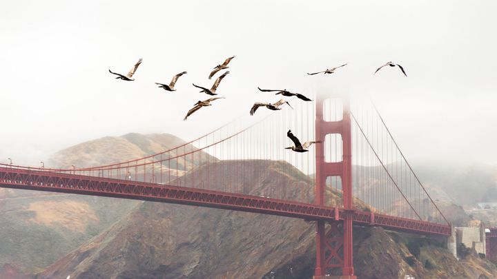 ����������ʫ���Ů�����֣��������µ�Ů������