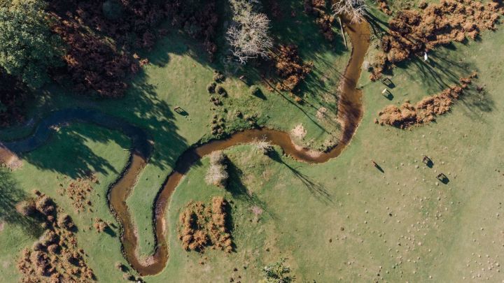 ��������Ϣ���ŵ��к����֣��������ŵ���������