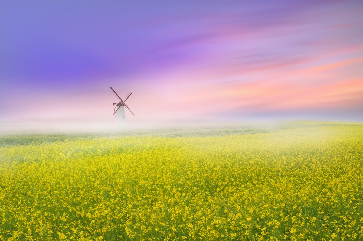 �����к���ˬ���������� �����к�99�ֵ����ִ�ȫ