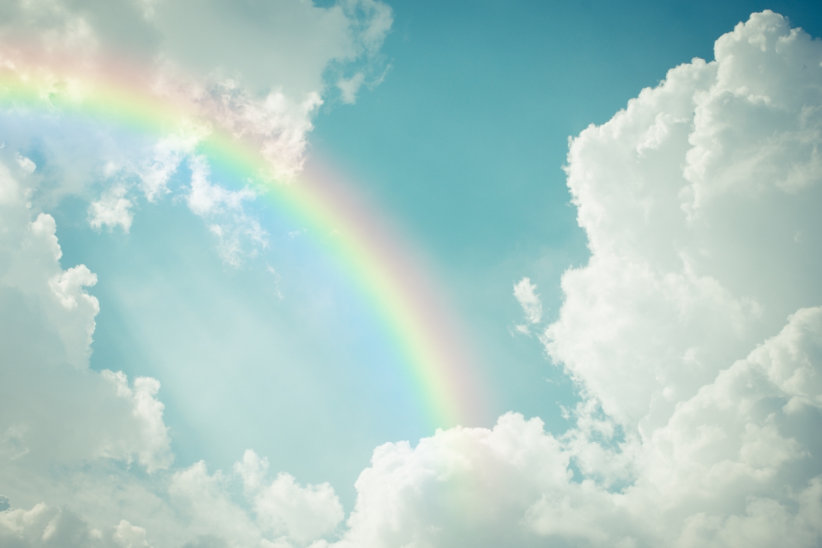 ĭ��ȡ��Ԣ�����Ů�� ��ĭ��Ψ��������Ů������