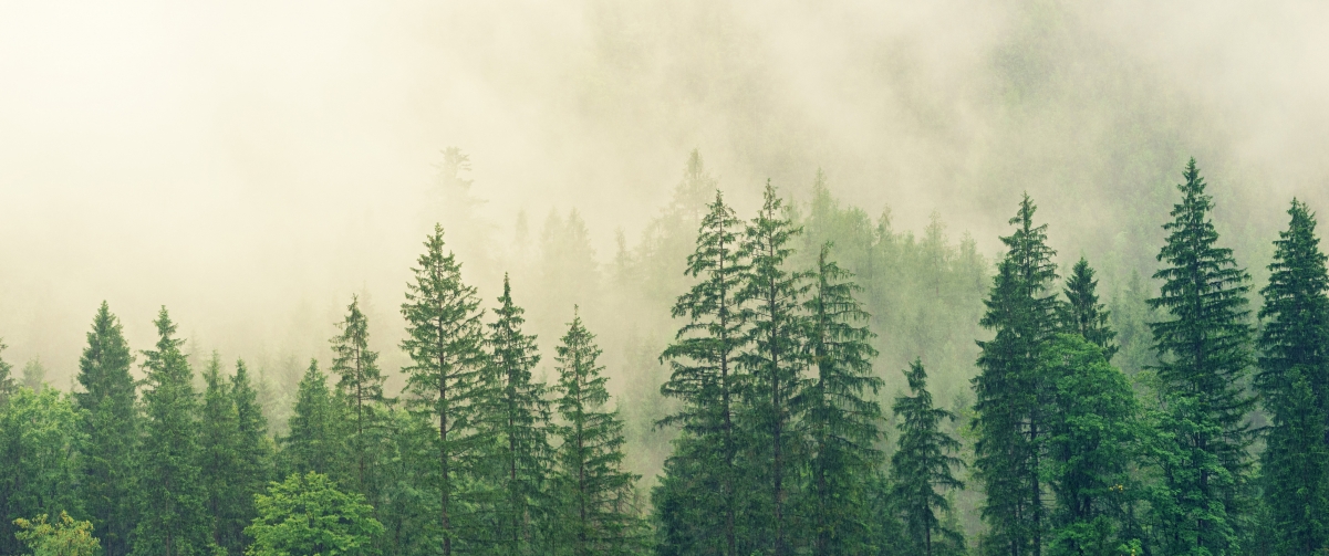 �к��������ʲô��������� �����к����ִ�ȫ2022����