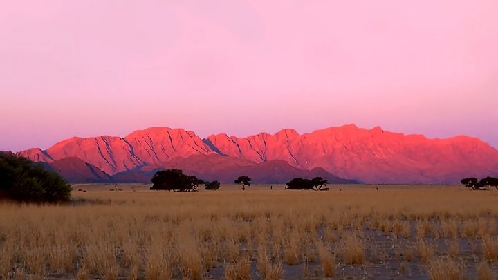 �йŵ���ζ���к����֣��ŷ�������Ԣ����к�����