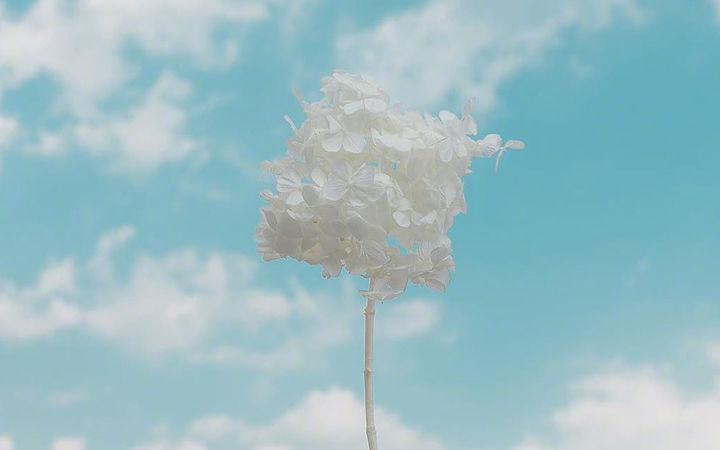 �������������ò��ã�����ֵ�Ů�����ִ�ȫ