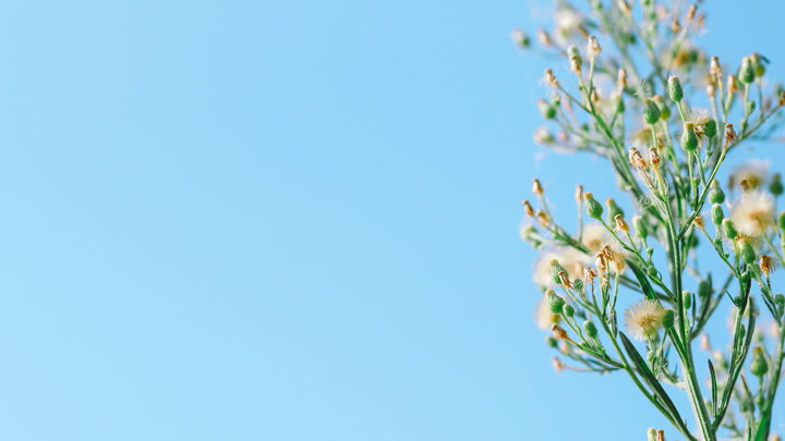 �к��ղ�ȡʲô���ֺ������ղ���б������ִ�ȫ