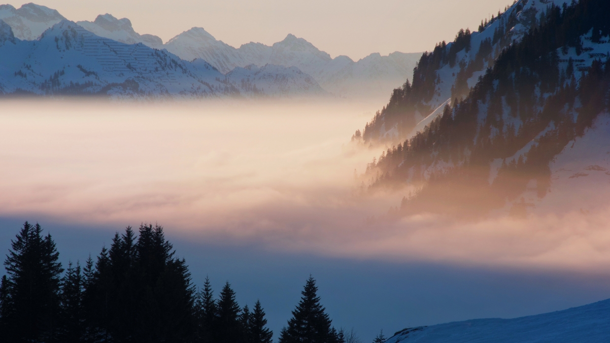 ����ȡ��Ԣ�⼰���� �����ֵĹŷ����ŵ�Ů������