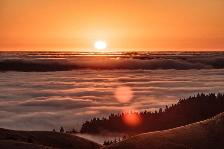 �ɴ������к���������Щ�������г�Ϣ���к�����