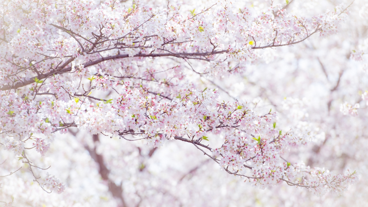 �����к������򵥴������ִ�ȫ