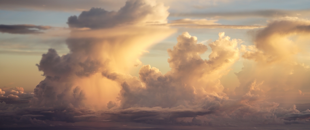 �����к�����������������