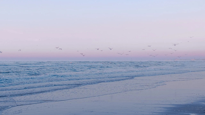 �����г�Ϣ���к�����