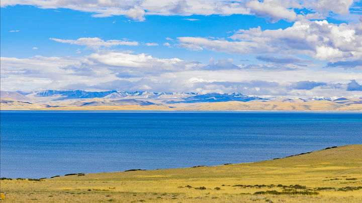 ���պ���ϡ�ٵ�100���к�����