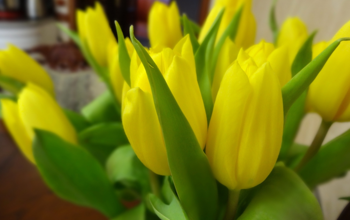 �к���Ԣ��ǰ���ƽ�������