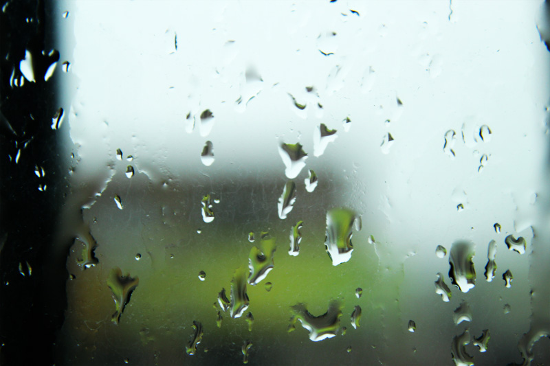 ܷ��ȡ��Ԣ�⼰���� ��ܷ�ֽ�β��Ů�����ִ�ȫ