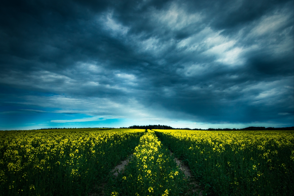 �Գ��ֿ�ͷ��Ů����������Щ