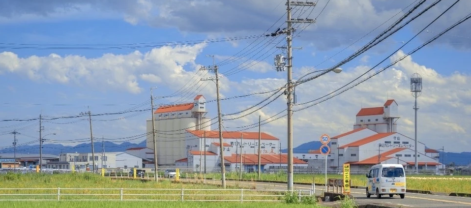 ��ľ����Ԣ��õ��к�����