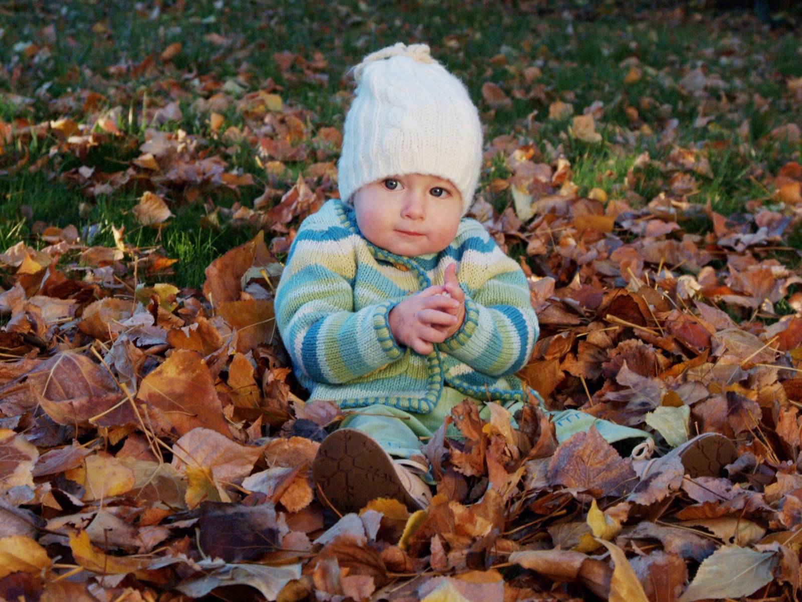 ����ΪŮ������Ԣ���������ȡ������Ů������