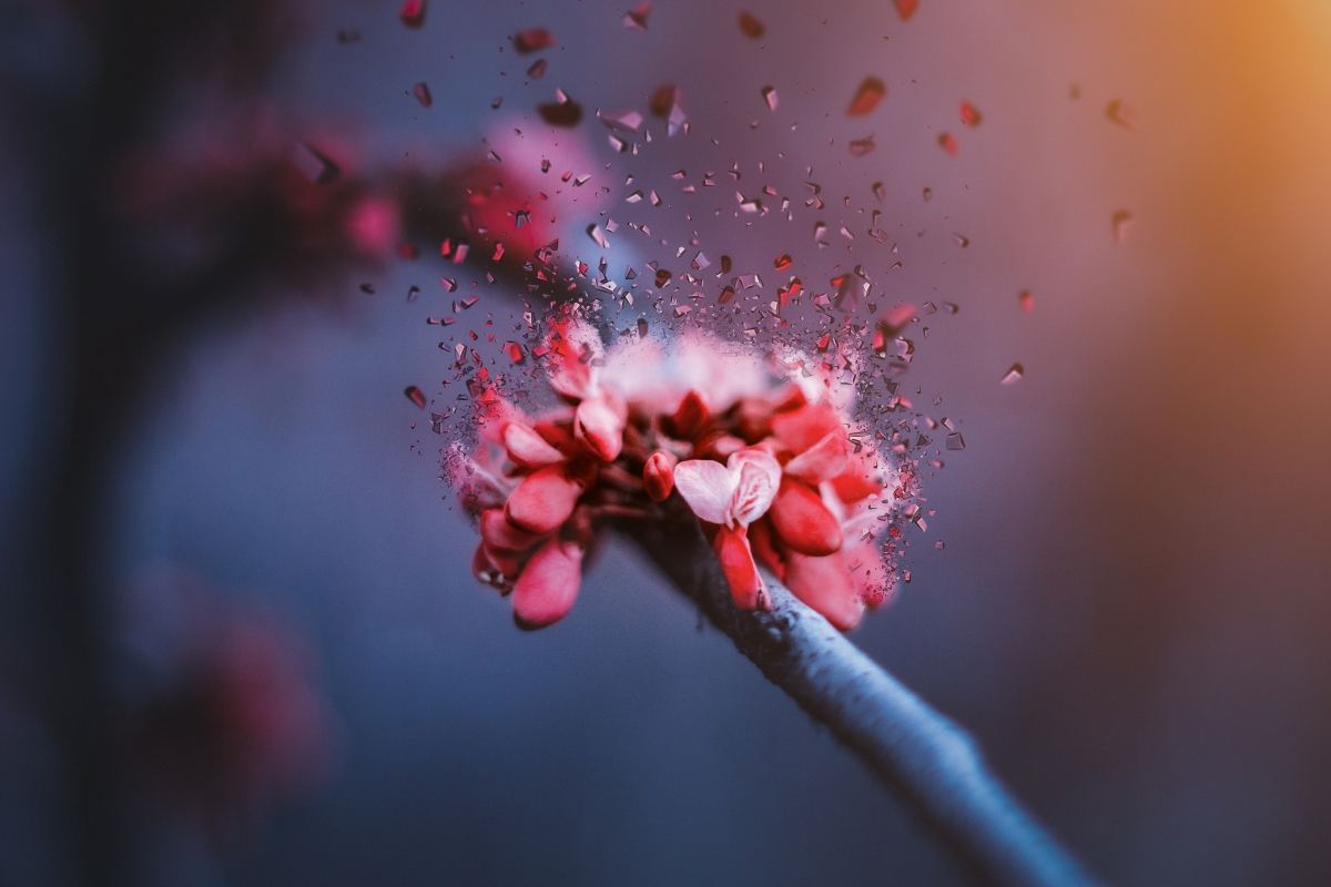 Ө��ȡ����Ԣ����� ��Ө�ֵ�Ů�����ִ�ȫ