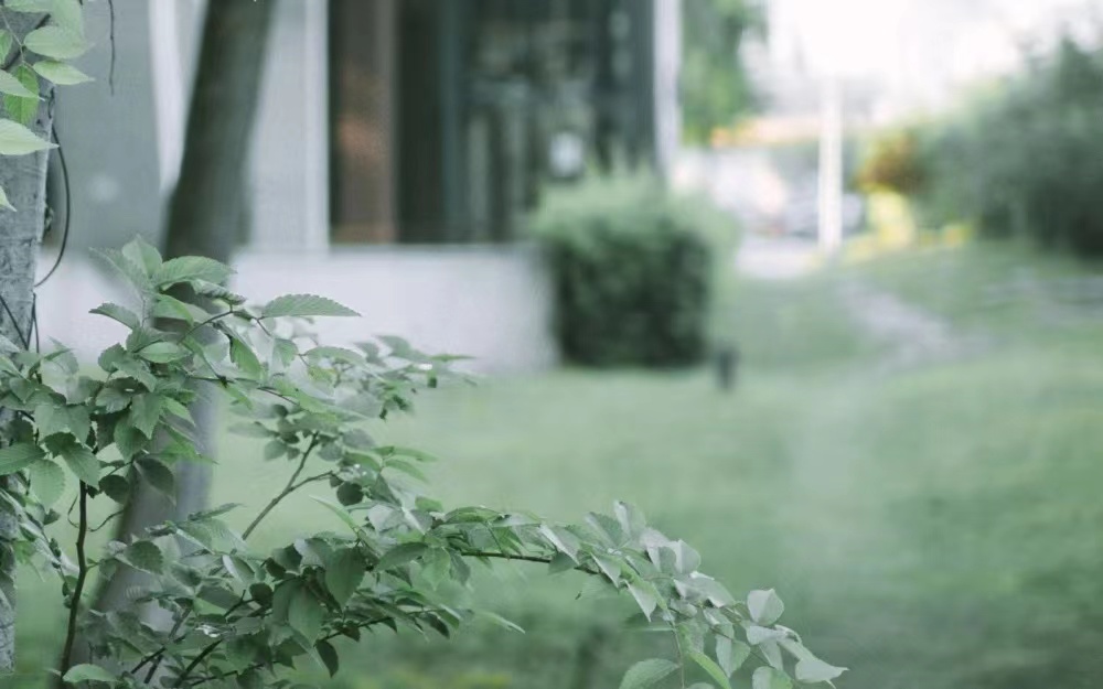 2022��Ů�������к��������ִ�ȫ