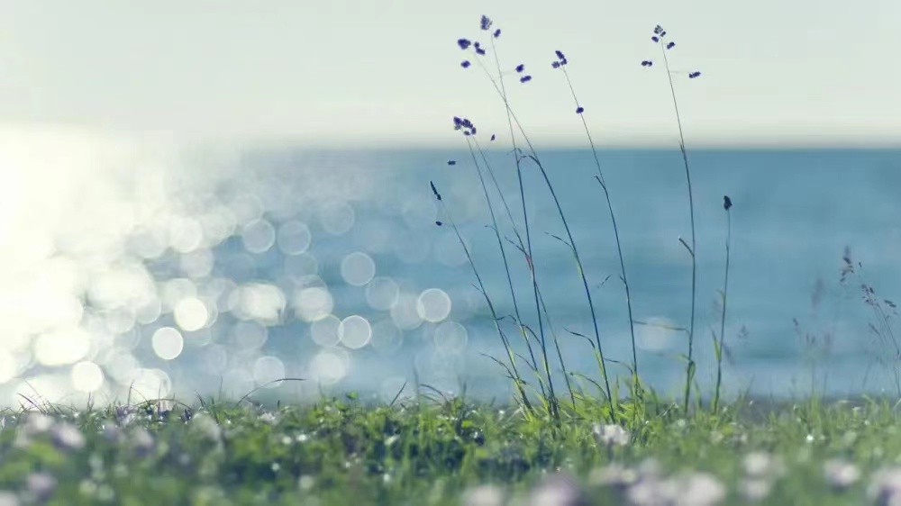 ����������Ԣ����к����־��԰���