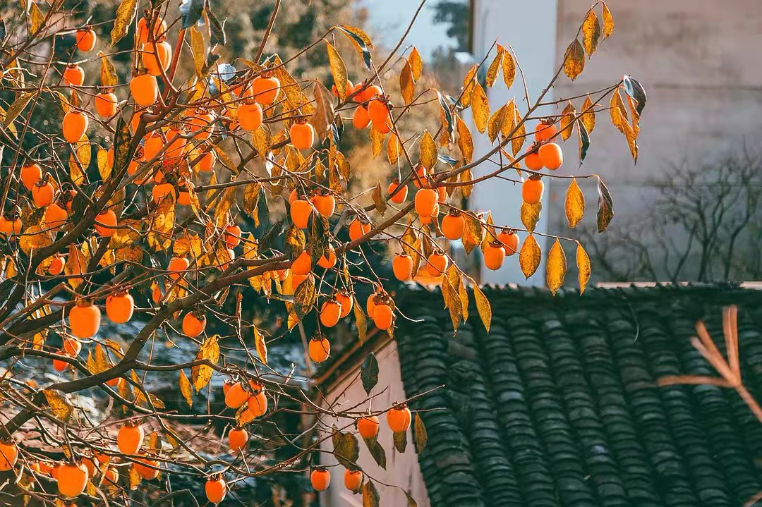 ����ʲô������к���