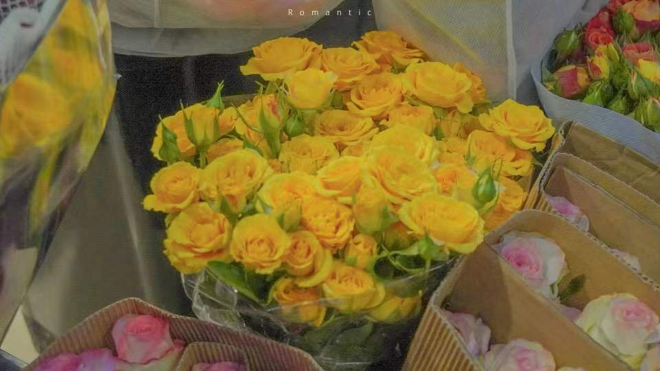 ����ȡ����Ԣ����ʲô������ɶ ���յĹŷ�Ů������