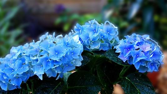 ϫ��ȡ��Ԣ�������ʲô�����Ů��������ϫ��Ů������������