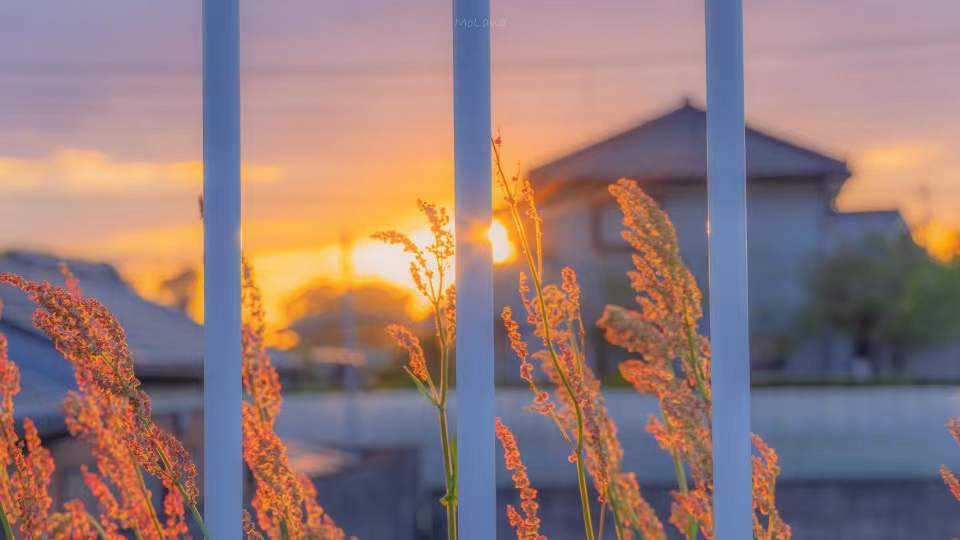 ������������������Ů������