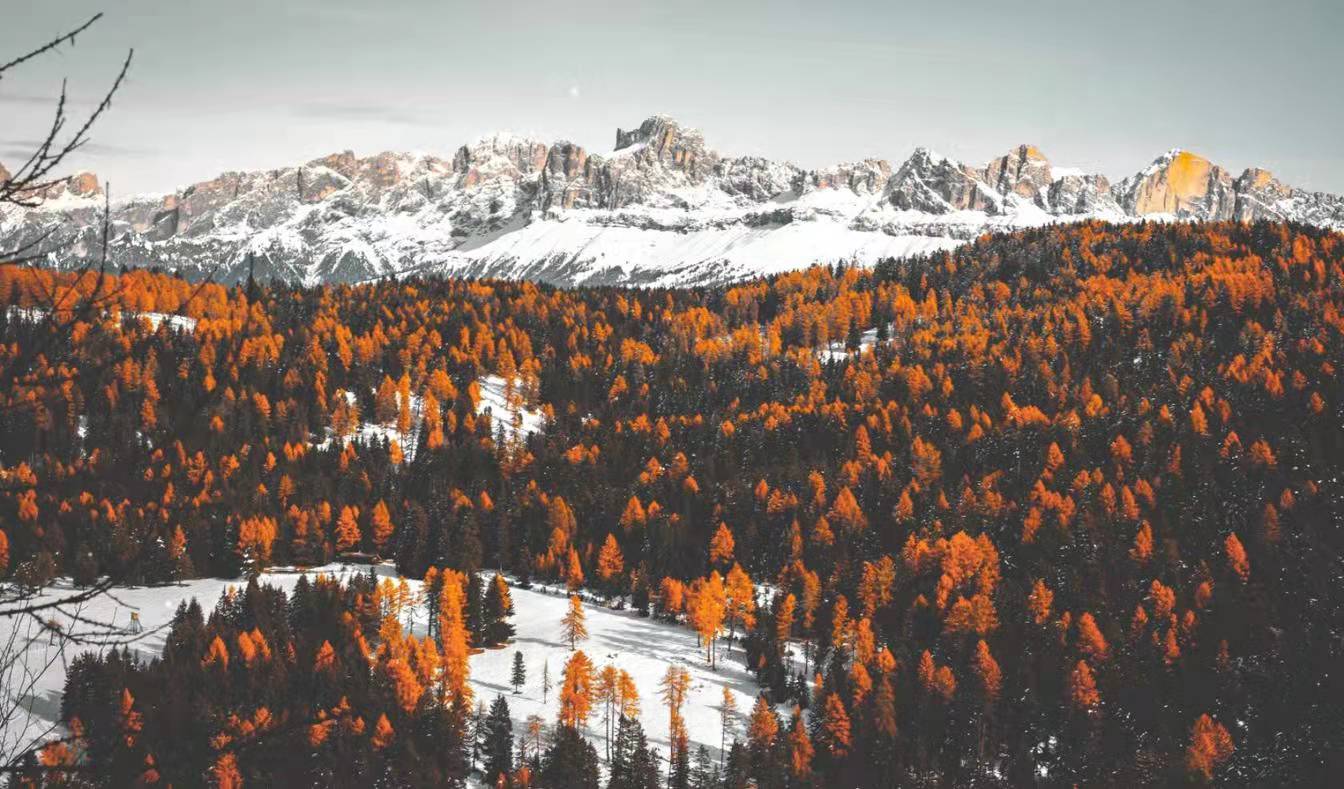 ����Ů������Ԣ��õ�������Щ ����Ů�������ִ�ȫ