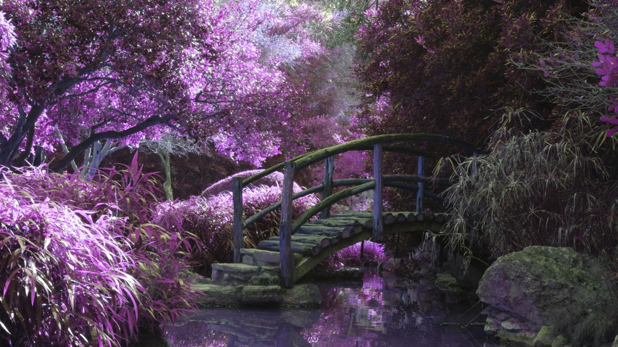 Ů����ӱ�к��������ִ�����