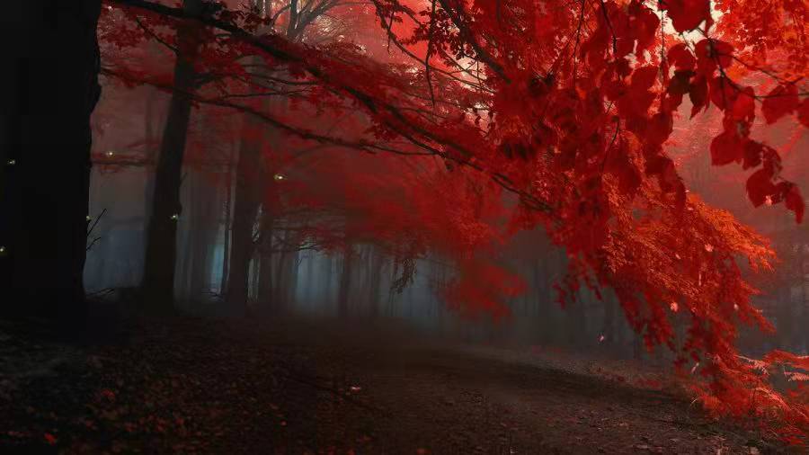 ����к�ȡ����ʲô�ֺ�