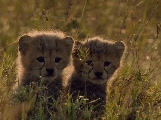 ������·ݳ����к������Ƽ�