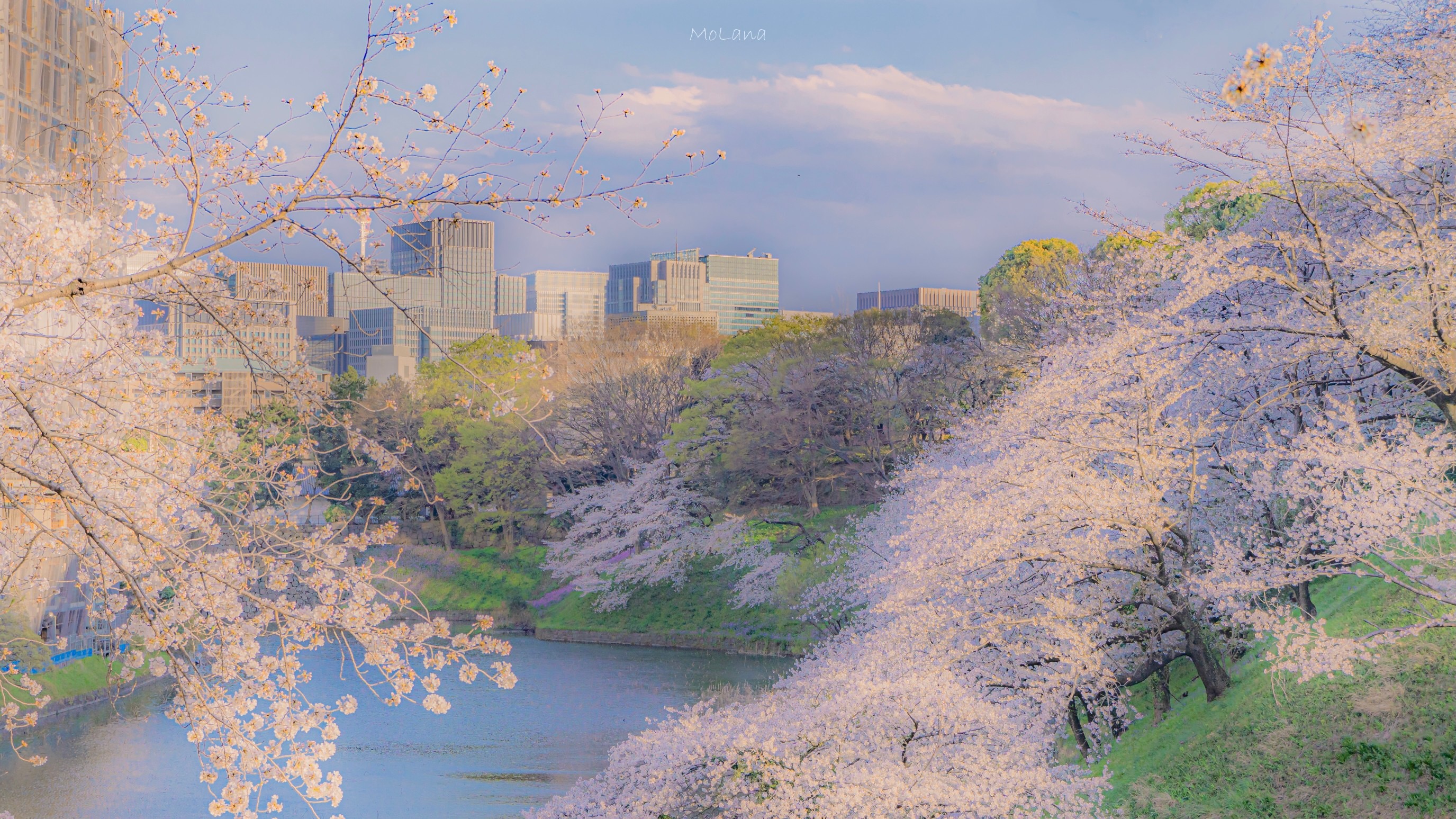 �����б���ȡ�������������Щ 2022�����к����ִ�ȫ��