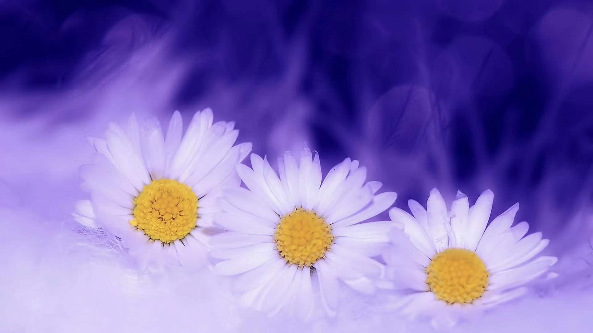 ��������ı���ȡ��ע��ʲô 2022����Ů�����������