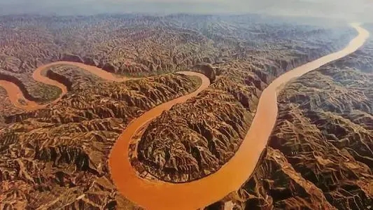 Ϊ��ţ�к���ˮ�вݵ����֣����������к�����