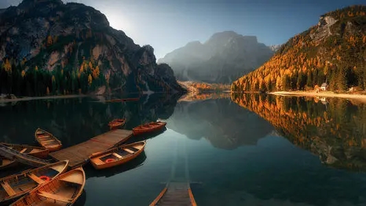 ��ţ�к�����������Ƽ�����ˮ�вݴ������ں���