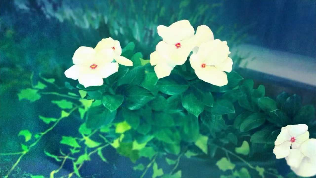 ��ˮ������Ů������