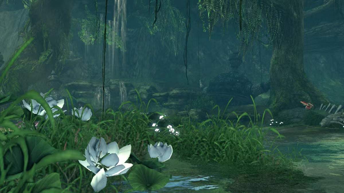 ���ż��������Ů������