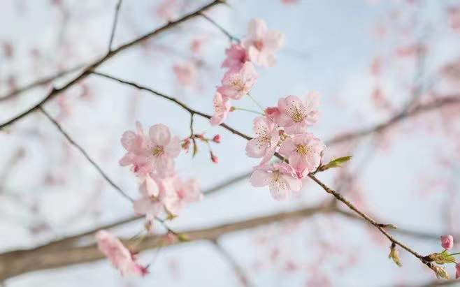 Ů����������Ư���к���������