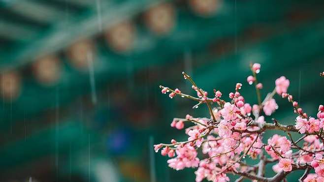 ���������Ͽڵ�Ů�����ִ�ȫ