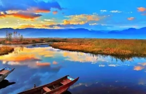 2022�����к������������Ƽ� ��������������������