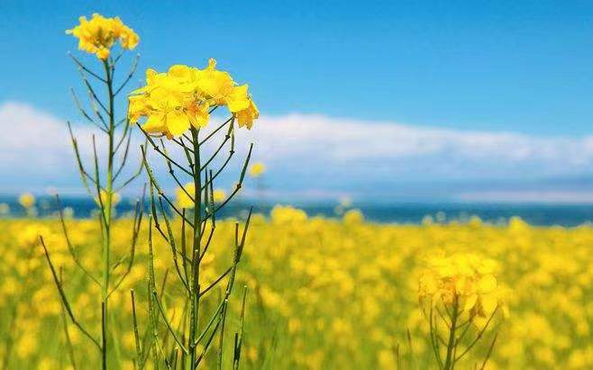 ����ȡ��Ԣ����� �����ֵĹŷ�Ů�����ִ�ȫ