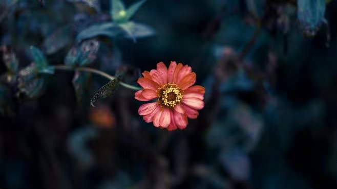 ��Ϊ���ֵ���˼��Ԣ�� �����������ʵ�Ů������