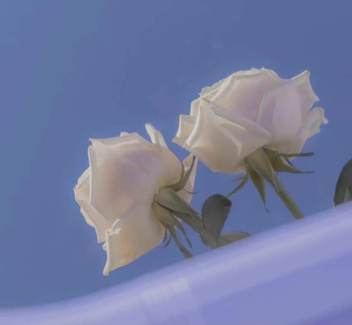 ����ô��ȡ��Ԣ����� ������˧���к�����