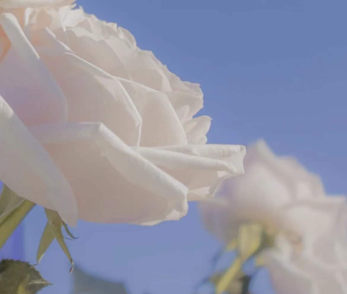 ����ȡ���ʺ��к�����Ů�� ����ʲô�ָ��к�ȡ�����