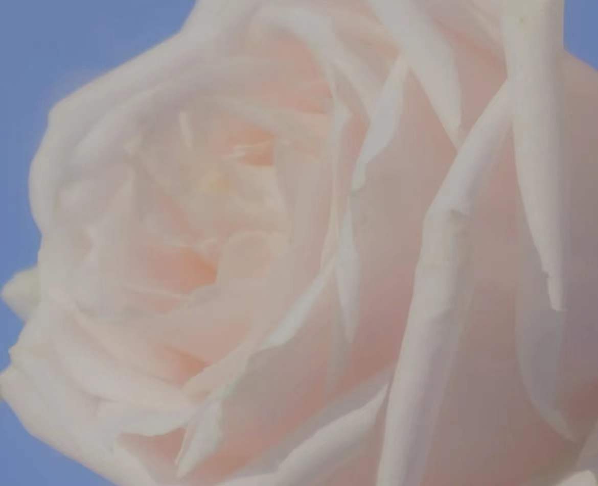 ������Ԣ��ǰ���ƽ����к�����