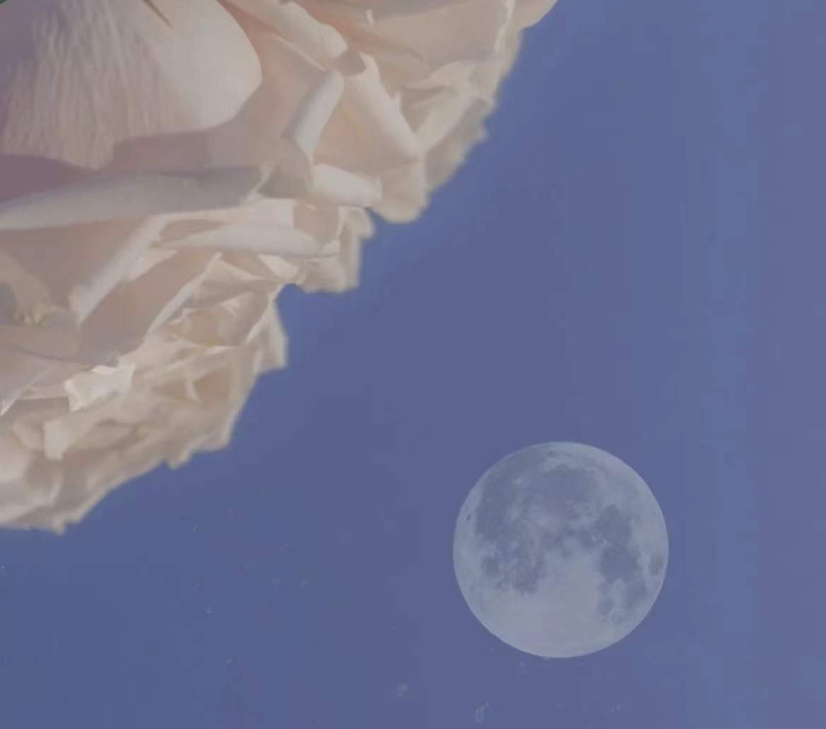 ���ִ��ӵĸ���Ů������ȫ