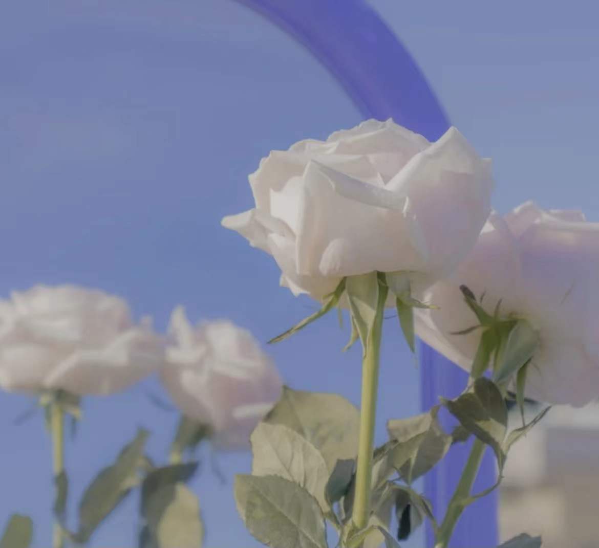 �����ʺ�Ů����ʲôԢ�� �����ֵ�����Ů������