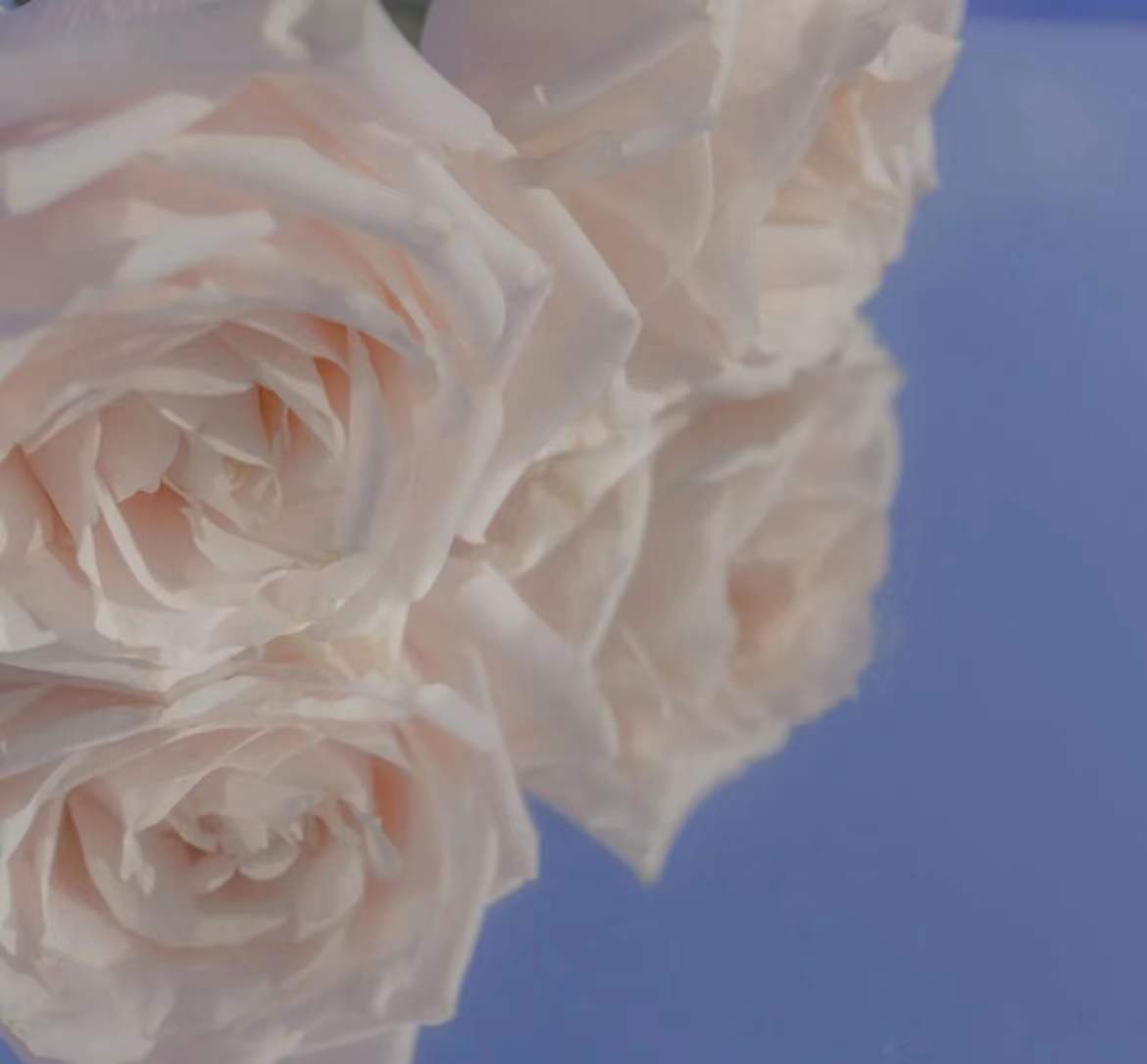 ����ȡ����Ԣ������� �����ִ������к�����