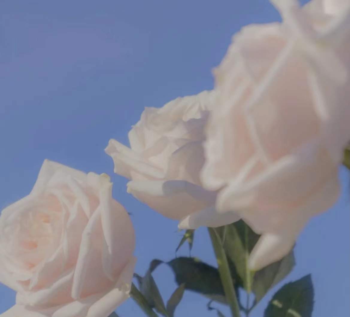 ����ȡ����Ԣ��ͺ��� �����ֵİ����к�����