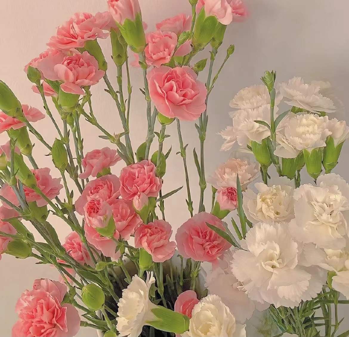 ����ȡ����Ԣ������� ����ȡ��Ů�����ִ�ȫ