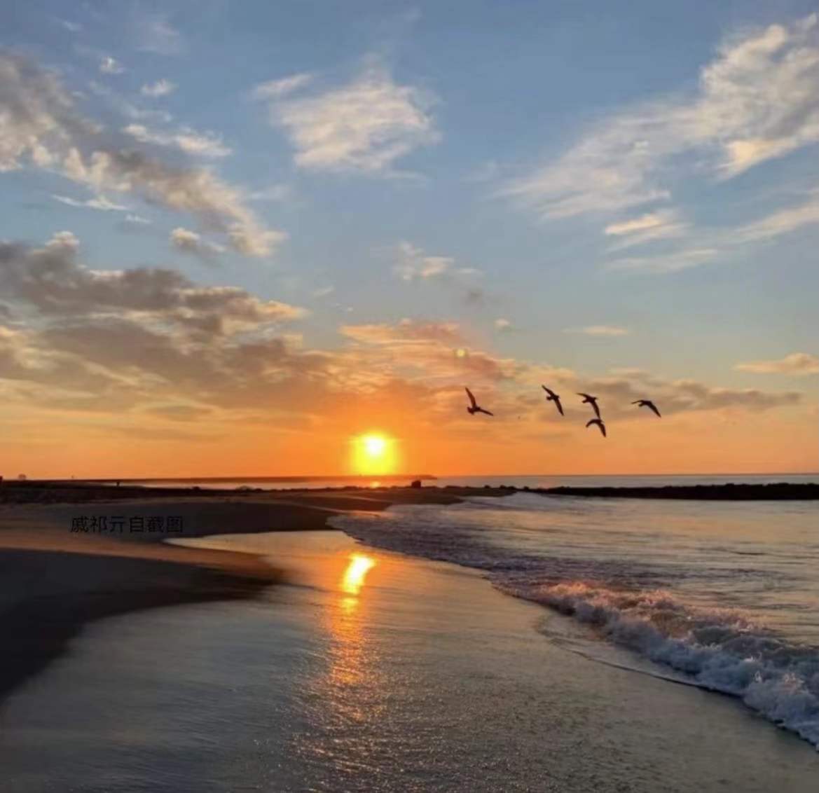 ���������ʲôȡ���󲻴� Ԣ��õ�����к�����